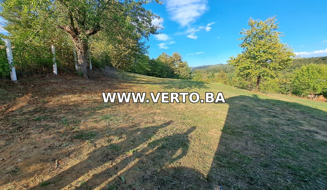 VERTO_01
