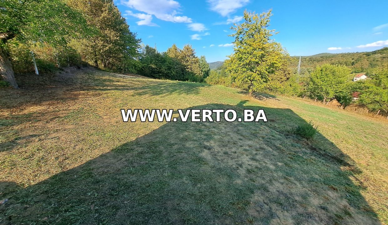 VERTO_06