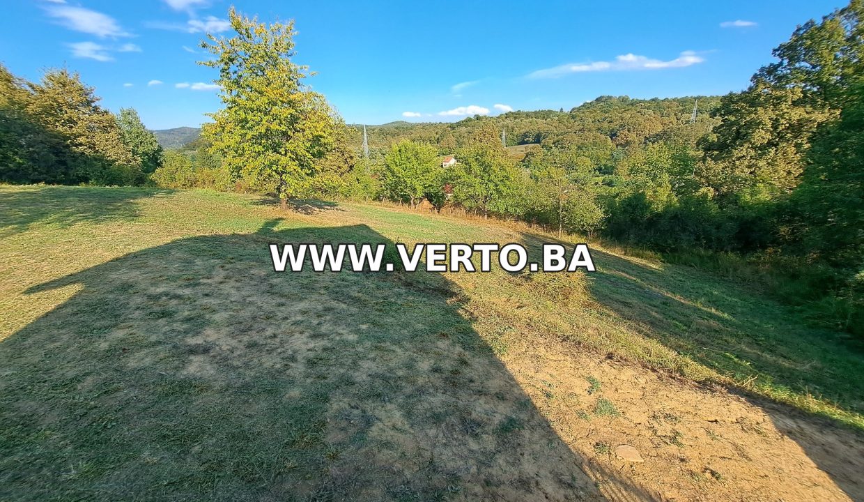 VERTO_07